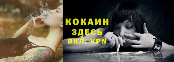 твердый Верея