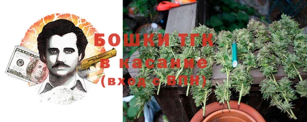 твердый Верея
