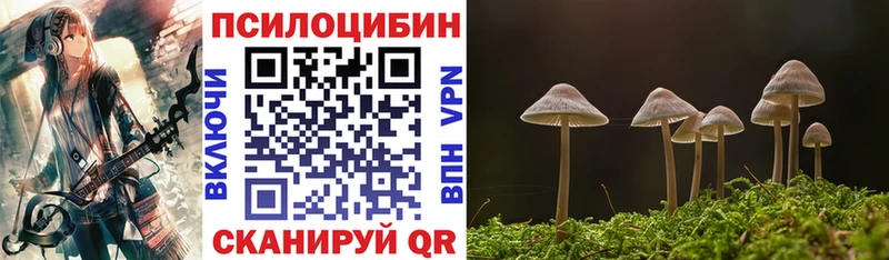 Галлюциногенные грибы Psilocybe  Суздаль 