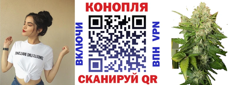 Бошки Шишки Ganja Суздаль