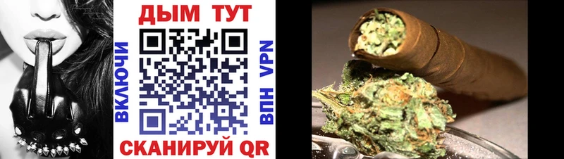 как найти закладки  Суздаль  Канабис Ganja 